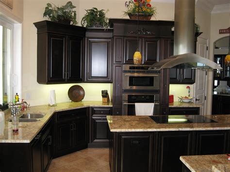 black cabinets with stainless steel inserts|dark black kitchen cabinets.